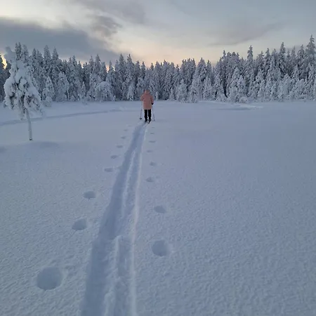 Arctic Light Дом отдыха Рованиеми