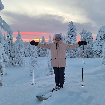 Σπίτι διακοπών Arctic Light