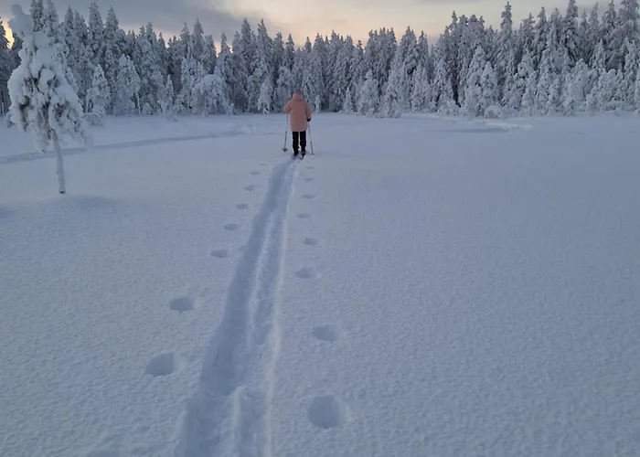 Arctic Light Tatil Evi Rovaniemi