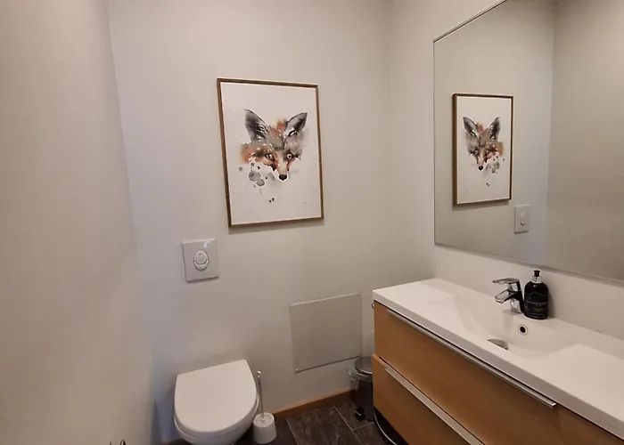 Tatil Evi Arctic Light *