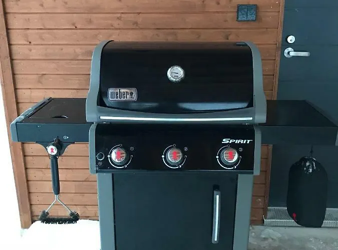 Tatil Evi Arctic Light Rovaniemi